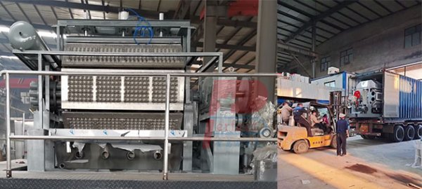 Sudan client 4500 pieces per hour automatic paper apple tray molding machine finished shipment