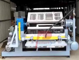 6/12/18 Caves Auto Egg Box Tray Moulding Making Machine