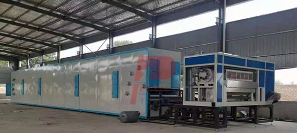 Energy saving 2022 model auto egg tray pulp moulding plant machine shipped to Africa