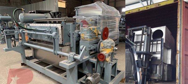 India client 3000 pieces per hour auto egg tray molding machine finished shipment