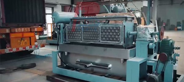 India market automatic paper apple tray making machine